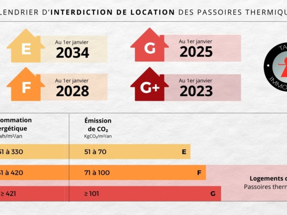 The new French DPE law of 2025 - The Real Estate Market - Tanit Immobilier